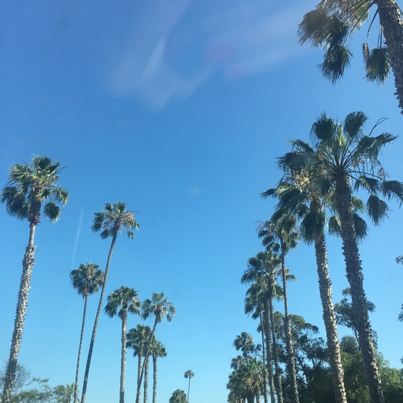 Meet your Posher, LC - Picture 1 of 1